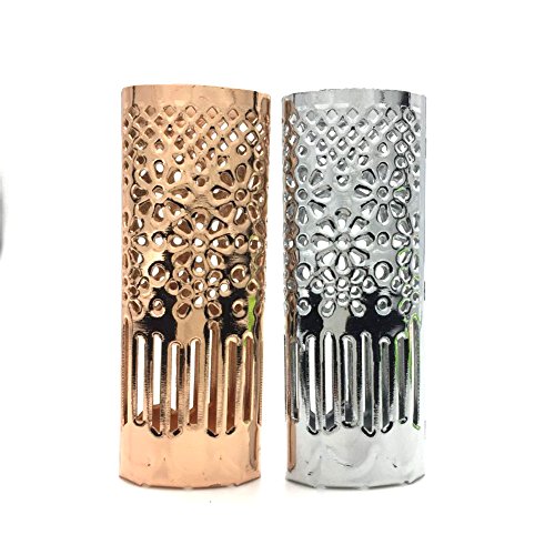 Lucklybestseller 2PCS Metal Lighter Case Cover Holder Collection Gift for BIC Full Size Lighter J6 (Floral Hollow-2 Color Set)