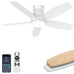 AQUBT Ceiling Fans with Lights, 42 inch Ceiling