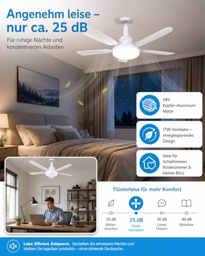 WRMING Ceiling Fan with Light, 62 cm Silent Ceiling Fan 25dB with Remote Control, 3 Speed, 3000/4000/6000K, Chandelier E27 Socket, 2/4H Timer, for Bedroom, Kitchen, Living Room