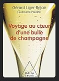 Voyage au coeur d'une bulle de champagne (French Edition) by