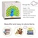DODYMPS Foldable Animal Canvas Storage Toy Box/Bin/Cube/Chest/Basket/Organizer for Kids, 13 inch (Peacock)