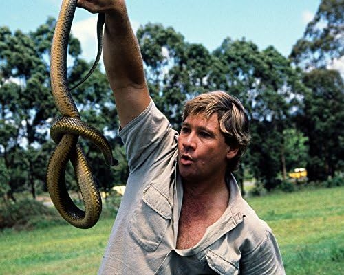 Photographs - Steve Irwin Crocodile Hunter holding large snake 11x14 Photo