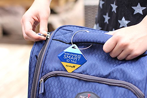 Dynotag Web Enabled Smart ID Tag, Delue Steel tag with Braided Steel Loop, with DynoIQ & Lifetime Recovery Service. Diamond (Stripes)