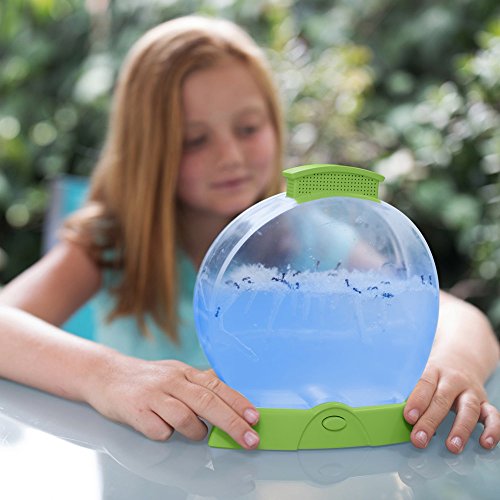 Educational Insights Geosafari Day 'N' Night Ant Factory N, Multicolor