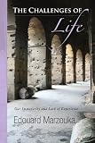 The Challenges of Life: Our Immaturity and Lack of Experience