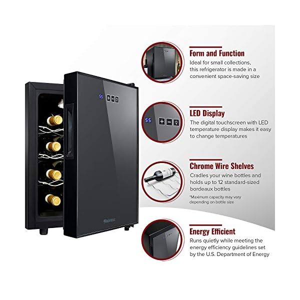 Wine-Enthusiast-12-Bottle-Compact-Wine-Cooler