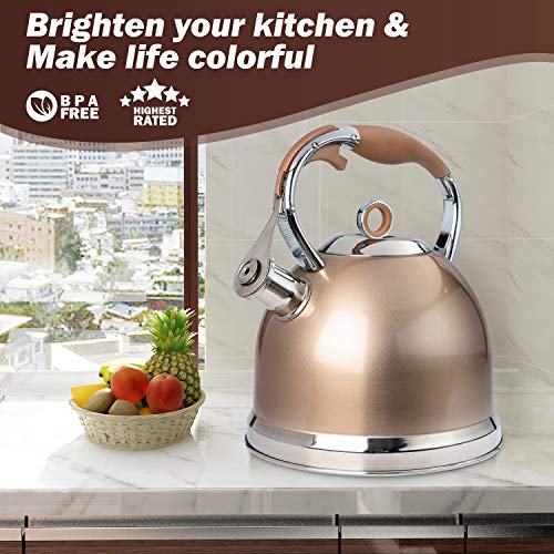 Whistling Tea Kettle induction Modern Stainless Steel Surgical