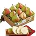 Harry & David The Favorite® Royal Riviera® Pears