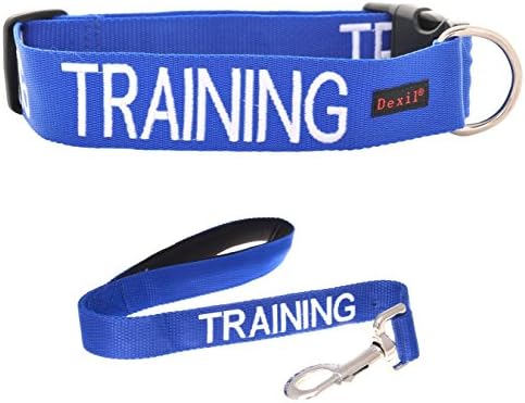 TRAINING Blue Color Coded S-M L-XL Buckle Dog Collar and 2 4 6 Foot or Coupler Professional Leash Sets (Do Not Disturb) Prevents Accidents By Warning Others In Advance (L-XL Collar + Short 2 Foot Leash)