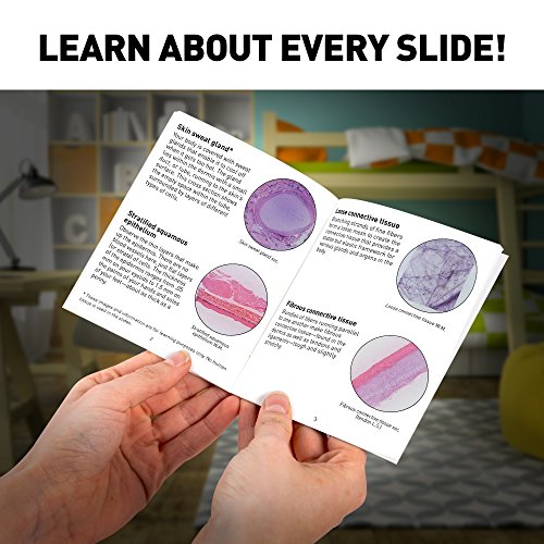 2 GEOGRAPHIC+Professional+Specimens+Microscope+Organization