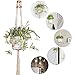 Elf House Macrame Plant Hangers Holder Outdoor - Large Indoor Wall Hanging Planter Hanger with Hooks Flower Pot Holder Decoration, Boho Home Decor Gift Box 4-in-1