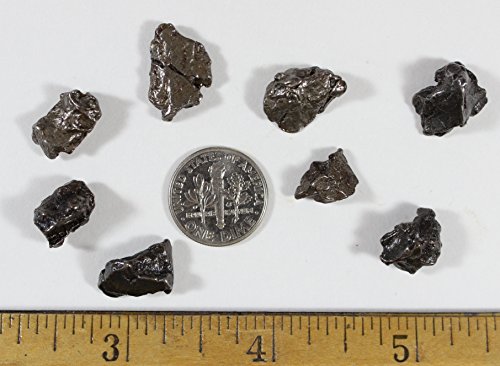 DANCING BEAR Meteorite from Space, 3 pcs Campo del Cielo from Argentina/Educational Card & Magnifying Box