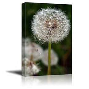 Canvas Prints Wall Art - Closeup of Dandelion Head in The Wind | Modern Wall Decor/Home Art Stretched Gallery Canvas Wraps Giclee Print & Ready to Hang - 12" x 18"