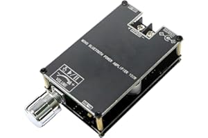 Cenroelon 100W Bluetooth Audio Amplifier Board Module Mono Digital Power Amplifier Board with for Home Theater,1Set