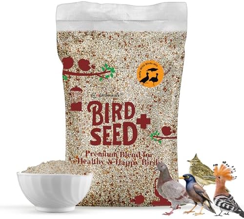 Egardenkart® Bird Food Daily Budget-Friendly - 8 Kg, Bird Seed | Wild ...