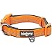 Blueberry Pet Soft & Safe 3M Reflective Neoprene Padded Adjustable Dog Collar - Orange Peel, Large, Neck 18