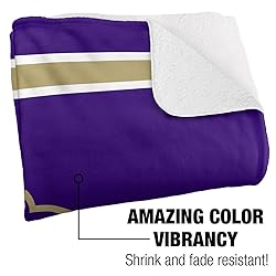 James Madison University Primary Logo Stripes