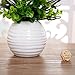 YILIYAJIA Artificial Flowers Orchids Table Decor Faux Flowers Arrangement with Vase Rustic Shelves Centerpieces Floral Decorations Realistic Phalaenopsis for Home Office Hotel Room