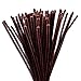 EBOOT 100 Pieces Pipe Cleaners Chenille Stem for Arts and Crafts, 6 x 300 mm (Brown)