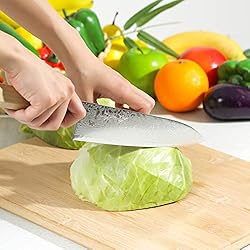 Syosaku Japanese Chef Knife Damascus ZA18 69 Layer
