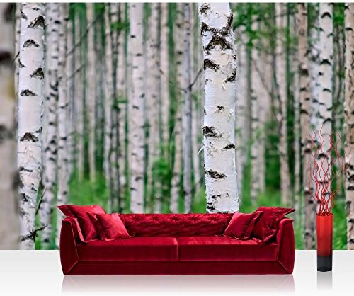 Photo wallpaper - birch forest nature - 157.4"W by 110.2"H (400x280cm) - Non-woven PREMIUM PLUS - BIRCH FOREST no.2 - Wall Decor Photo Wall Mural Door Wall Paper Posters & Prints