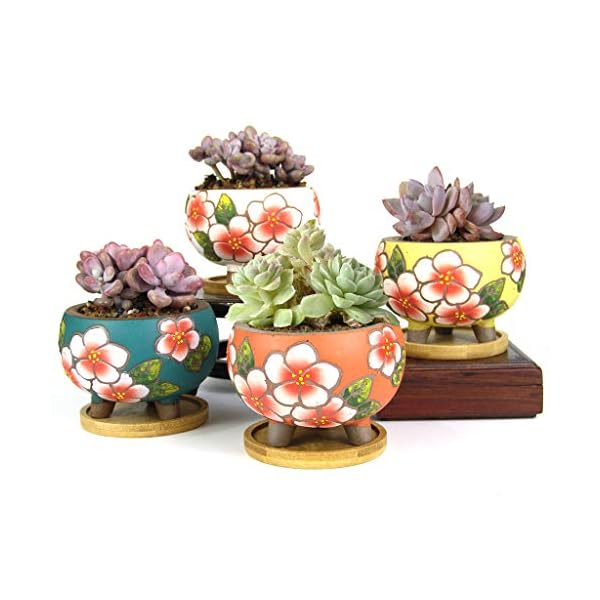Summer Impressions 3.5 Inch Hand Painted Round Ceramic Succulent Cactus