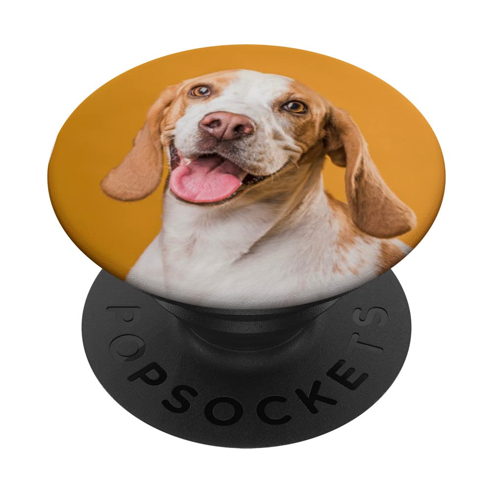 Beagle Happy Dog Cute Image Fun Photo Dog PopSockets Swappable PopGrip