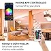 Led Strip Lights, WiFi Wireless Smartphone Controlled Waterproof RGB Rope Lights Flexible 5050 Light Strip 32.8ft 300Leds 24key IR Remote Controller UL Power Adapter Work with Android iOS Alexa