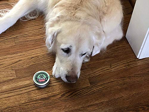 3 Organic+Natural+Paw+Repairs+Damaged