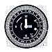 Grasslin by Intermatic FM1STUZH-120U 24-Hour 21A, SPDT, 120V Electromechanical Timer Module with Manual Override Switch