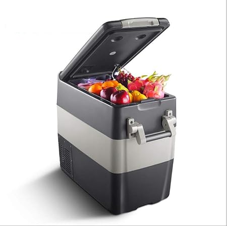 ZHENHUA Compresor de 50 litros Refrigerador para automóvil Coche ...