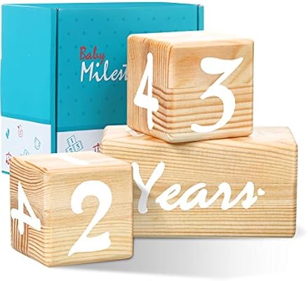 monthly milestone blocks