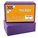 Pair of Da Vinci Purple Yoga Blocks – High Density EVA Foam Exercise Blocks to Provide Balance, Stability, Deepen Pose & Improve Strength. 2-Packthumb 1