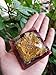 Orgone Citrine and Black Tourmaline Pyramid with The Tree of Life Symbol | Orgonite Energy Generator Infused By the Reiki Energy | Protects and Heals on All Spiritual and Physical Levels