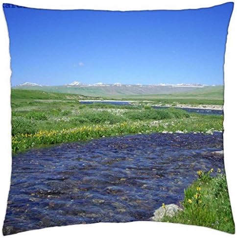 PILLOWE CASE Bara Pani Deosai Skardu - Throw Pillow Cover Case (18" x 18")