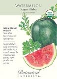 Sugar Baby Watermelon Seeds - 1.5 grams - Organic - Botanical Interests