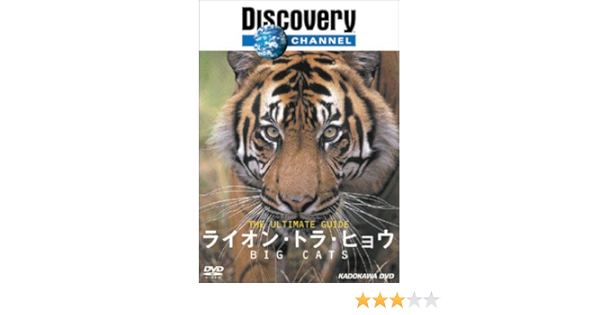 Amazon Com ディスカバリーチャンネル The Ultimate Guide ライオン トラ ヒョウ Dvd Movies Tv