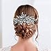 Catery Rhinestones Hair Comb Bridal Headpiece Silver Wedding Hair Accessories for Brides and Women