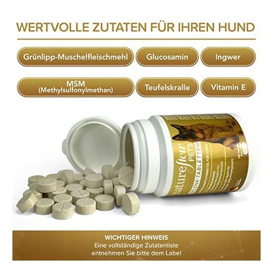 Gelenktabletten für Hunde mit Grünlippmuschel, MSM und Teufelskralle