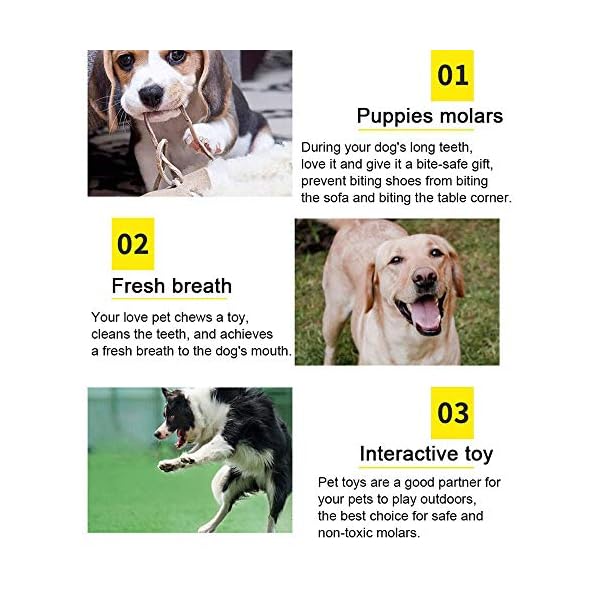 WeFine-Puppy-Dog-Chew-Toys-Teething-Training10pcs-Dog-Rope-Toys-100-Natural-Cotton-Rope-for-Small-and-Medium-Dog WeFine Puppy Dog Chew Toys Teething Training, 10pcs Dog Rope Toys 100% Natural Cotton Rope for Small and Medium Dog