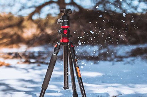 K&F Concept TM2534T DSLR Camera Tripod 66 Inch Portable Magnesium Aluminium Monopod 4 Section Professional Tripods with 360 Degree Ball Head Quick Release Plate Compatible with Canon Nikon Sony DSLR