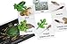 Montessori Frog Life Cycle Animal Match Cards and Figurines. Nomenclature Science Work Teaching