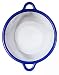 Top Quality Round Mesh Metal 10" Strainer - Strains Unwanted Pulp, Seeds, Also Rinse Vegetables, Strain Soups, Pastas, Sift Flour and More! (Random Assorted Colors)