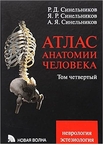 atlas anatomii cheloveka atlas anatomii cheloveka