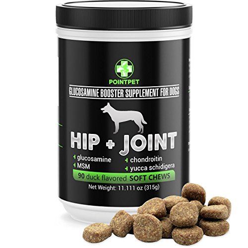 Top for hip meds for dogs