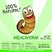 LEIPING 5 Lbs Dried Mealworms, Whtie