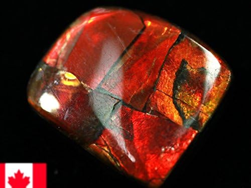 天然石の島田商事 超激レア 虹色に輝くイリデッセンスアンモナイト化石宝石7000万年の奇跡カナダ産 宝石ルース 裸石 アンモライト Ammolite 1個 天然石 約4 5g パワーストーン 送料無料 当日発送可能 菊石 Ac