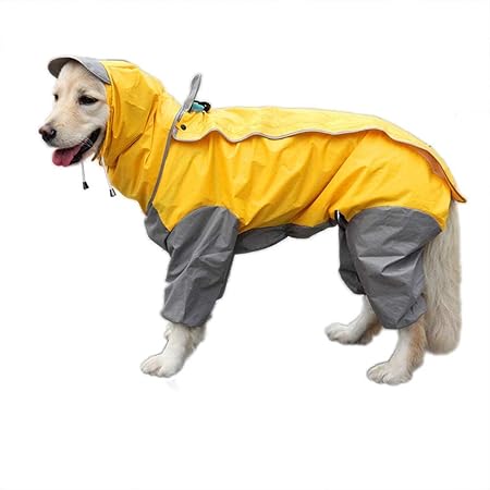 Golden retriever waterproof coat Outlet