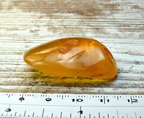 7.3 g Natural POLISHED Genuine Baltic Amber Stone Great for Making Brooch, Necklace, Pendant or Just Having It BBS239