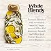 Garnier Whole Blends Replenishing Conditioner Legendary Olive, Dry Hair, 22 fl. oz.